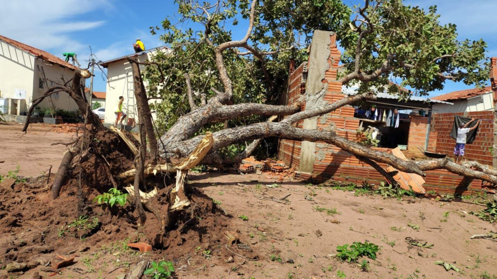 Auxílio de R$ 1.750 para famílias impactadas por vendaval em Palmas será liberado na quarta-feira, 18